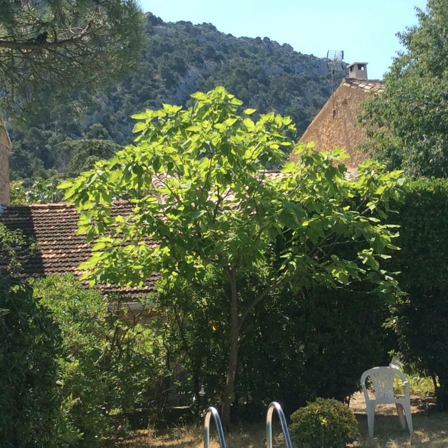 Maison Daumas Billard Francais Et Piscine Robion en Luberon Eksteriør bilde